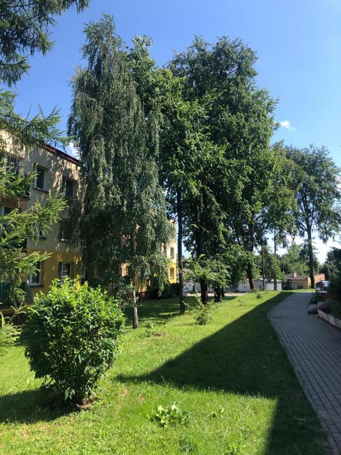Apartment Tarasy Centrum 谢米亚蒂切 外观 照片